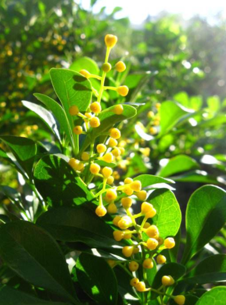 耐酸磚，盲道磚，陶瓷透水磚源頭生產(chǎn)廠家到底適不適合參加展會